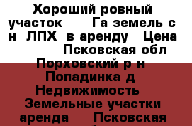 Хороший ровный участок 10,5 Га земель с/н  ЛПХ  в аренду › Цена ­ 11 000 - Псковская обл., Порховский р-н, Попадинка д. Недвижимость » Земельные участки аренда   . Псковская обл.